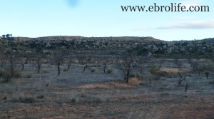 Detalle de Finca rústica próxima al embalse con agua por 60.000€