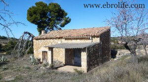 Foto de Finca de olivos y almendros en producción con masía por 27.000€