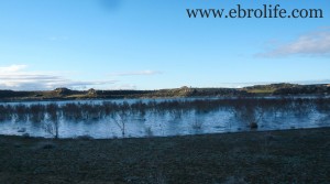 Finca rústica próxima al embalse en venta con agua por 60.000€