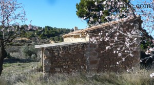 Foto de Finca de olivos y almendros en producción con olivos