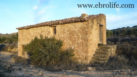 Finca de olivos cerca de Maella