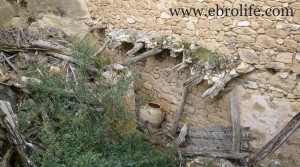 Vendemos Finca con pinares y roquedales con almendros