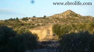 Foto de Olive farm near Maella por 39.000€