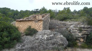 Detalle de Finca con pinares y roquedales con masía por 36.000€