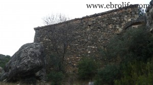 Finca con pinares y roquedales para vender con almendros