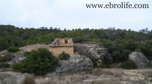 Se vende Finca con pinares y roquedales con masía