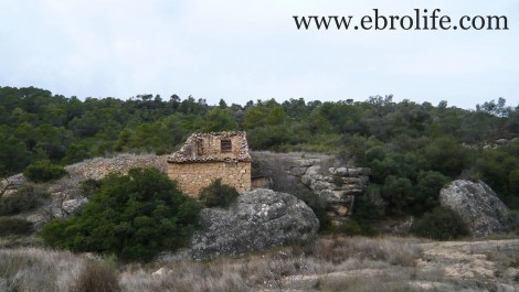 Finca con pinares y roquedales