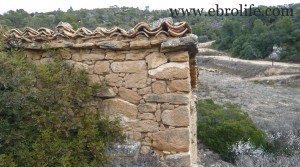 Finca con pinares y roquedales para vender con almendros por 36.000€