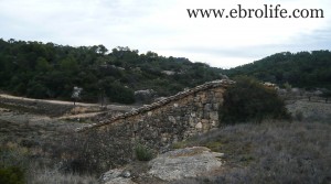 Vendemos Finca con pinares y roquedales con almendros