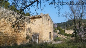 Detalle de Finca próxima a La Fresneda con vistas a Torre del Compte con agua por 70.000€