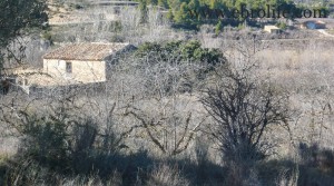 Finca de regadío y secano en venta con agua por 96000NEGOCIABLES€