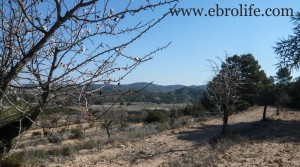 Foto de Finca próxima al río Algars con agua