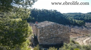 Finca y masía con cisterna de agua para vender con agua por 23.000€