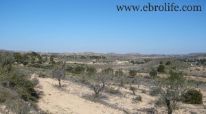 Foto de Finca próxima al río Algars en venta con agua