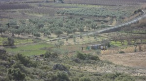 Finca con riego por elevación a buen precio con agua