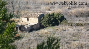 Se vende Finca de regadío y secano con agua por 96000NEGOCIABLES€