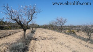 Se vende Finca próxima al río Algars con agua