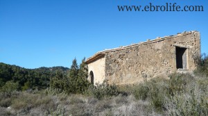 Vendemos Finca con masía típica con olivos