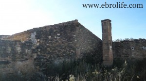 Vendemos Finca de regadío y secano con corral