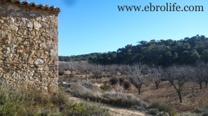 Finca y masía con cisterna de agua a buen precio con masía por 23.000€