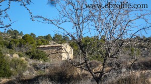 Foto de Finca y masía con cisterna de agua en venta con almendros