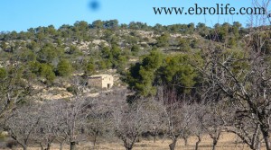 Foto de Finca y masía con cisterna de agua con agua