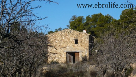 Finca y masía con cisterna de agua