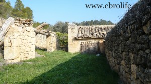 Foto de Finca próxima a La Fresneda con vistas a Torre del Compte en venta con agua por 70.000€