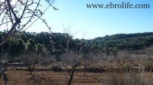 Finca y masía con cisterna de agua a buen precio con agua por 23.000€