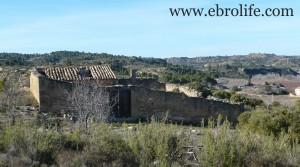 Finca de regadío y secano en venta con agua