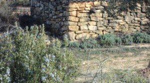 Foto de Finca con riego por elevación con agua