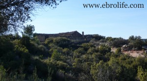 Foto de Finca de regadío y secano con olivos por 96000NEGOCIABLES€