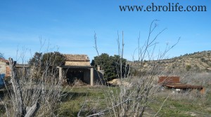 Foto de Finca de regadío y secano con agua por 96000NEGOCIABLES€