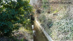 Finca próxima a La Fresneda con vistas a Torre del Compte en oferta con agua