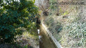 Finca próxima a La Fresneda con vistas a Torre del Compte en oferta con agua