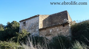 Finca de regadío y secano para vender con masía