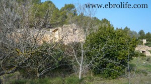 Foto de Finca próxima a La Fresneda con vistas a Torre del Compte con masía