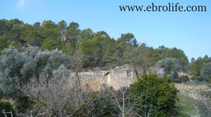 Finca próxima a La Fresneda con vistas a Torre del Compte para vender con agua