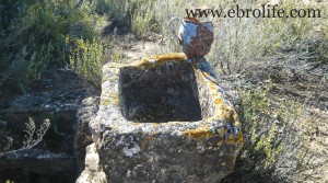 Foto de Finca con masía típica en venta con masía