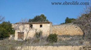 Detalle de Finca próxima a La Fresneda con masía