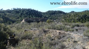 Vendemos Finca con masía típica con almendros