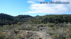 Finca con masía típica a buen precio con masía