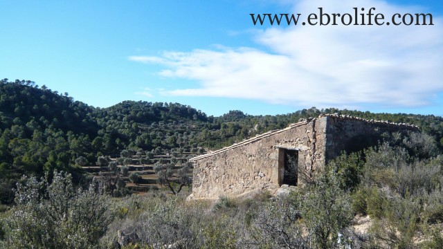 Finca con masía típica