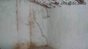 Finca de regadío y secano en venta con masía por 96000NEGOCIABLES€