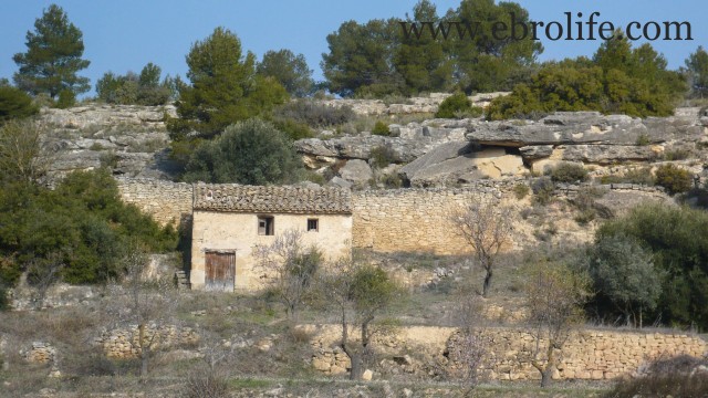 Finca próxima a La Fresneda