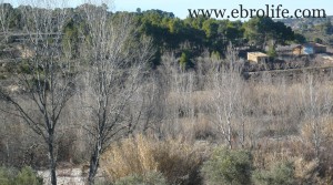 Detalle de Finca de regadío y secano con corral por 96000NEGOCIABLES€