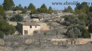 Se vende Finca próxima a La Fresneda con masía