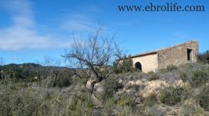 Se vende Finca con masía típica con masía