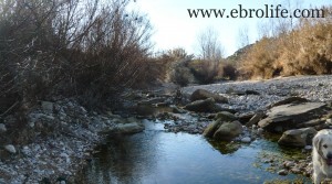 Finca de regadío y secano para vender con corral