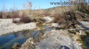 Finca de regadío y secano en venta con agua